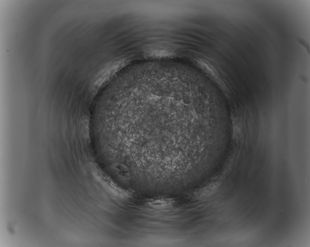 X0000100220447200806061348