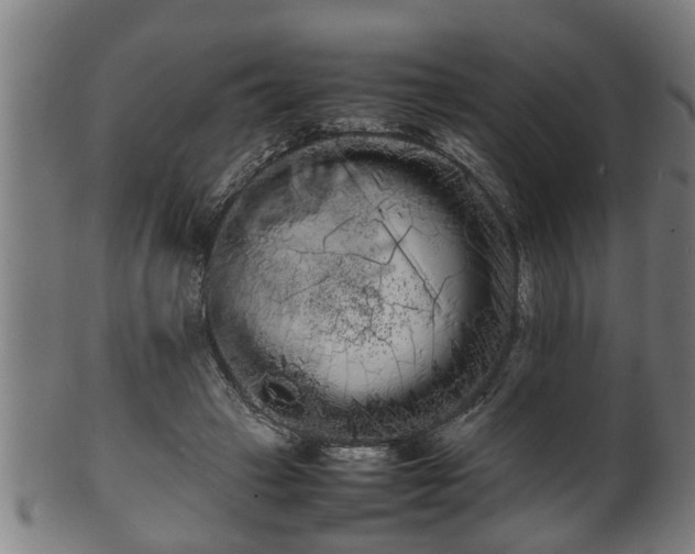 X0000100220449200806061348