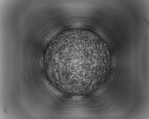 X0000100220450200806061348