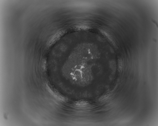 X0000100220451200806061348