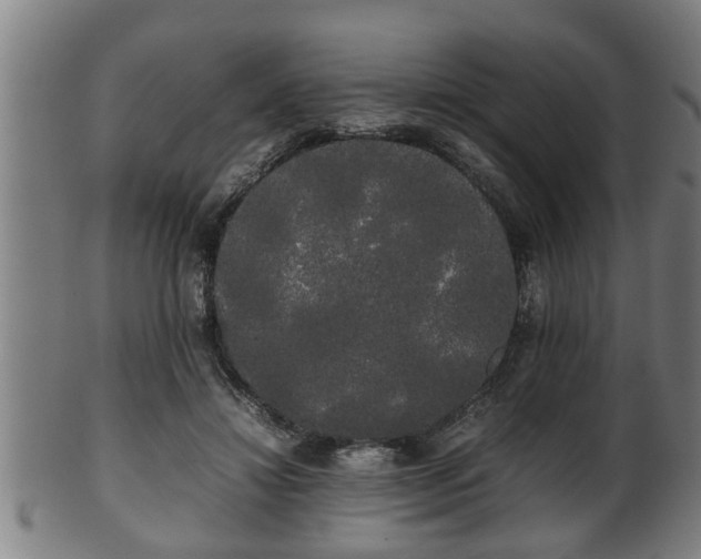 X0000100220452200806061348