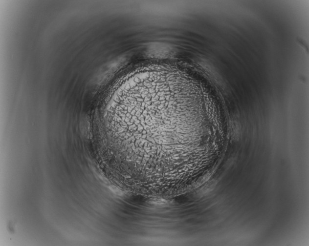 X0000100220453200806061348