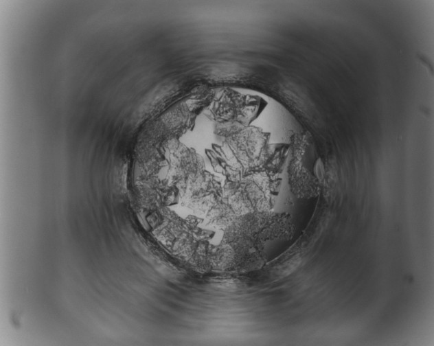 X0000100220454200806061348