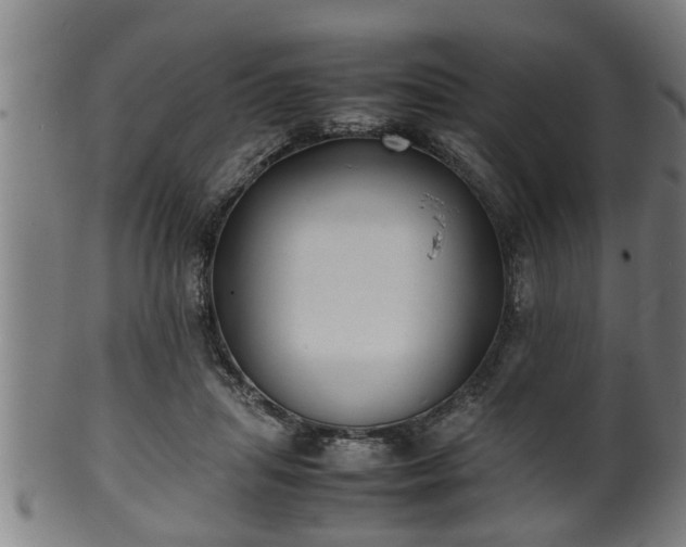 X0000100220455200806061348