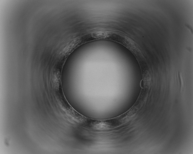 X0000100220460200806061349