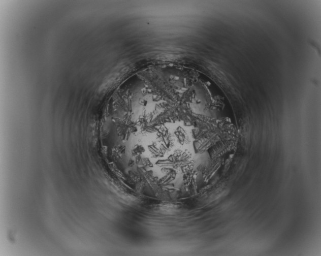 X0000100220462200806061349