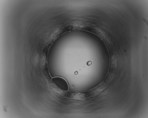 X0000100220463200806061349