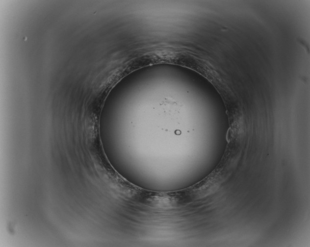 X0000100220464200806061349