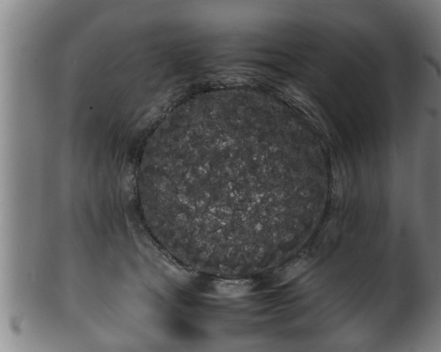 X0000100220465200806061349