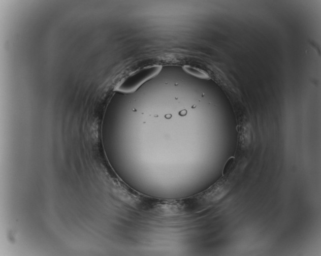 X0000100220466200806061349