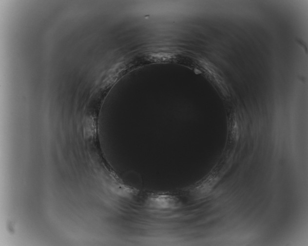 X0000100220467200806061349