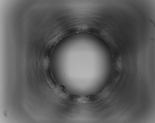 X0000100220468200806061349