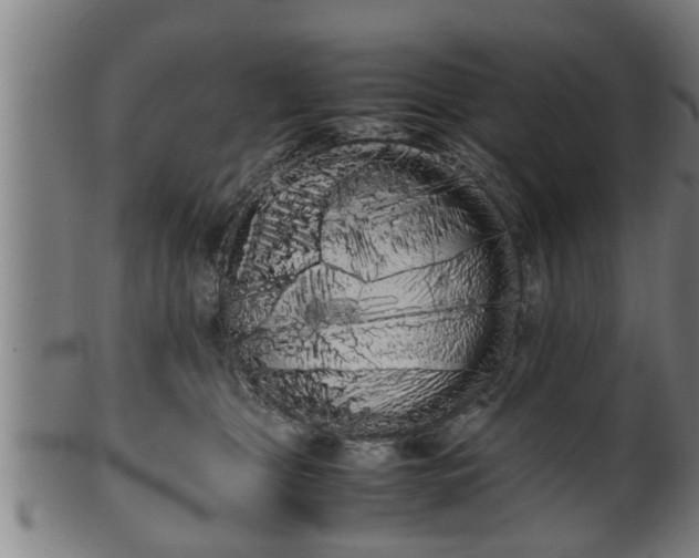 X0000100220469200806061349