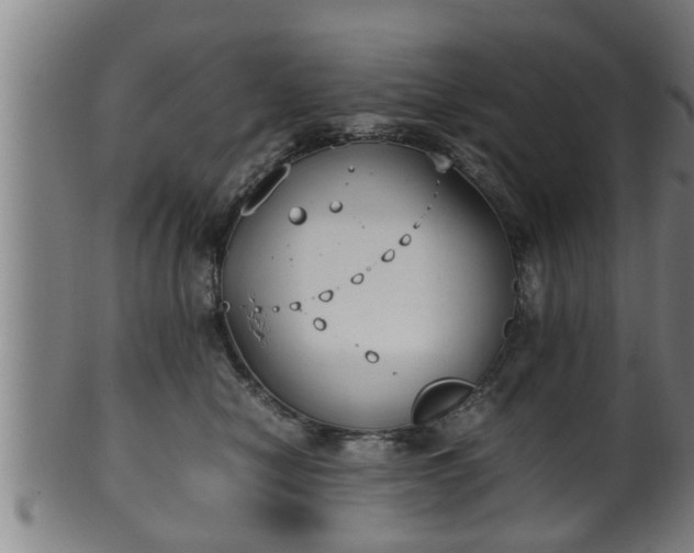 X0000100220470200806061349