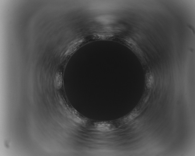 X0000100220471200806061349