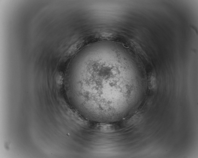 X0000100220472200806061349