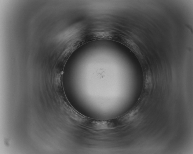 X0000100220473200806061349