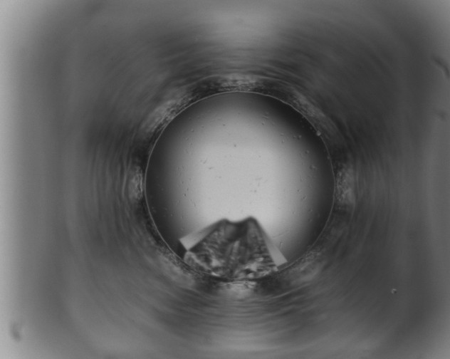 X0000100220474200806061349