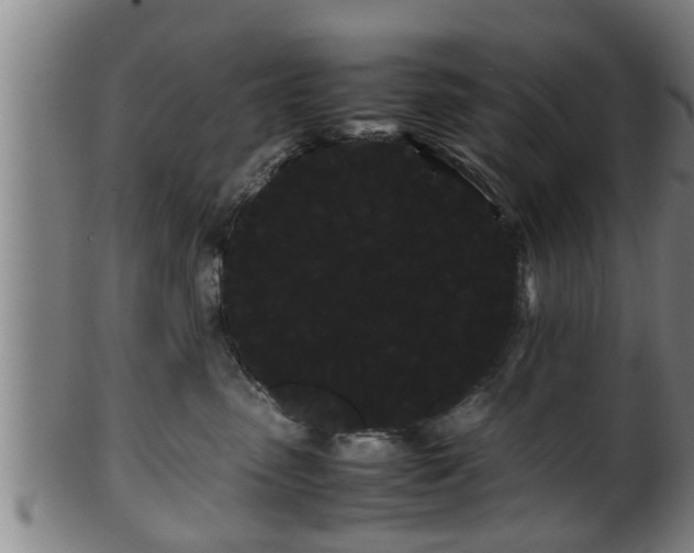 X0000100220475200806061349