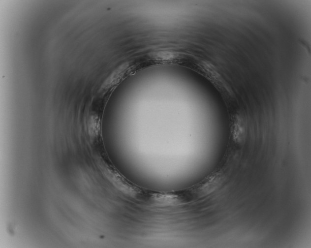 X0000100220476200806061349