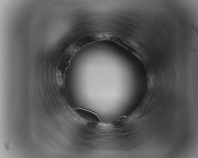 X0000100220477200806061349