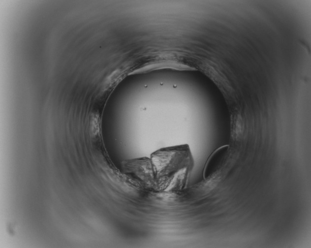X0000100220478200806061349