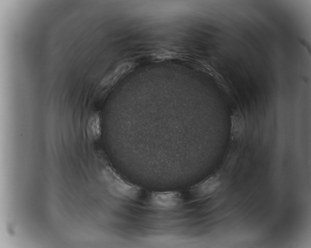 X0000100220479200806061349