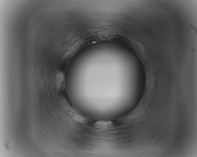 X0000100220480200806061349