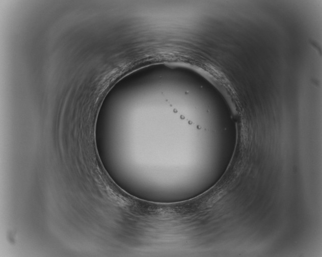 X0000100220481200806061348