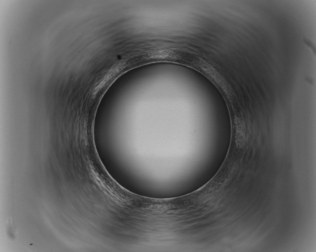 X0000100220482200806061348