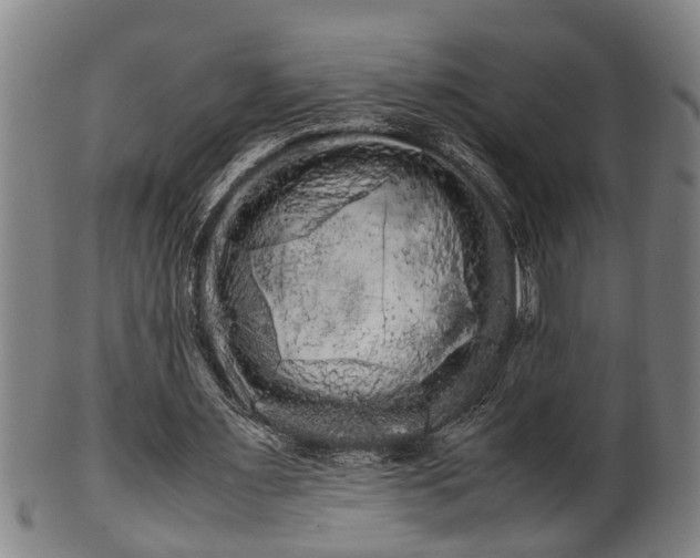 X0000100220483200806061348