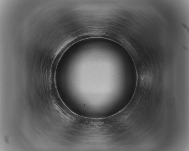 X0000100220484200806061348