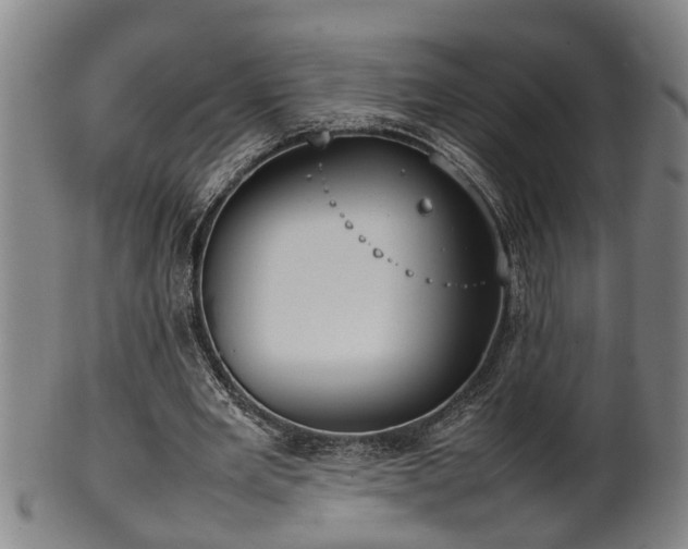 X0000100220485200806061348