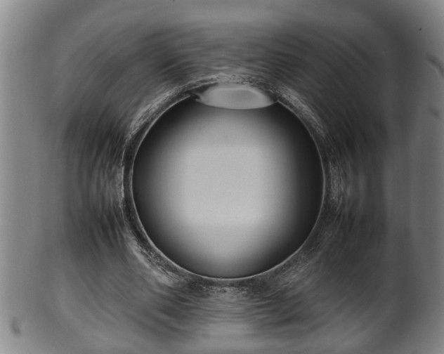 X0000100220486200806061348