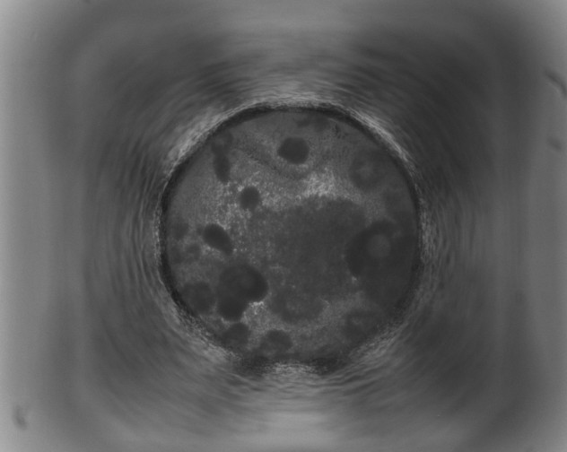 X0000100220487200806061348