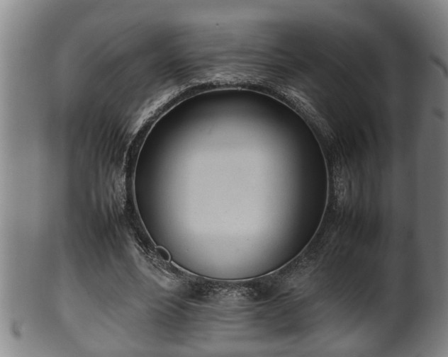 X0000100220488200806061348