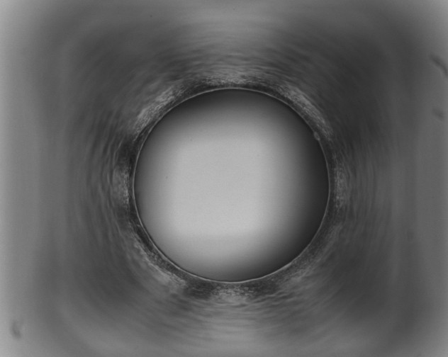 X0000100220489200806061348