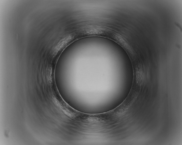 X0000100220490200806061348