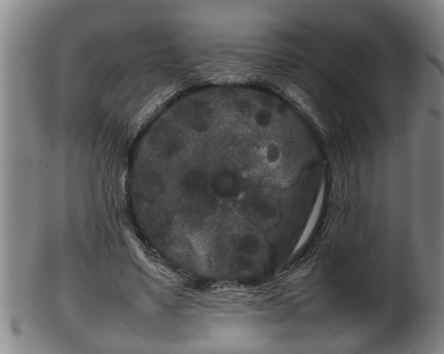 X0000100220491200806061348