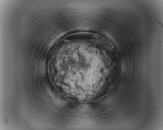 X0000100220492200806061348