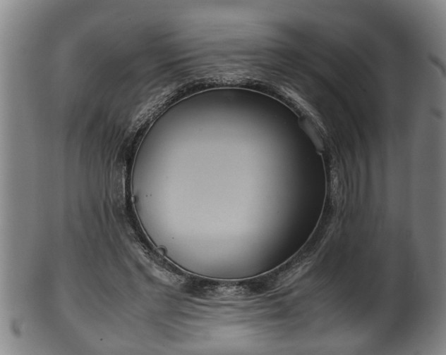 X0000100220493200806061348