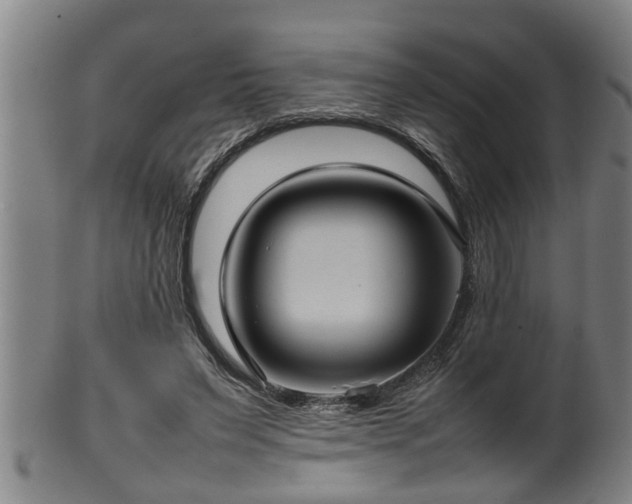 X0000100220495200806061348