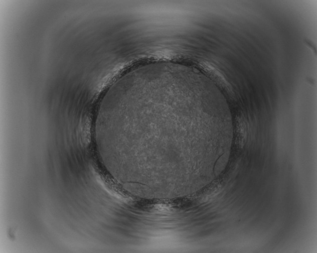 X0000100220496200806061348