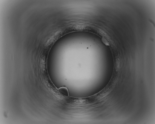 X0000100220497200806061348