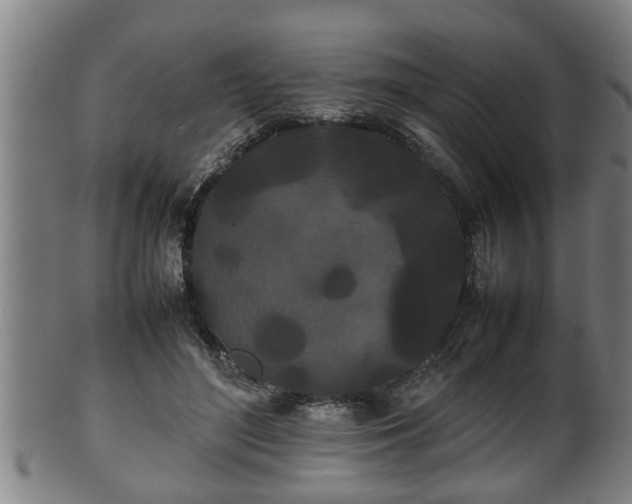 X0000100220500200806061348