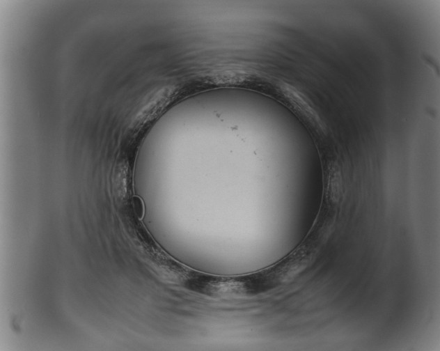 X0000100220501200806061348