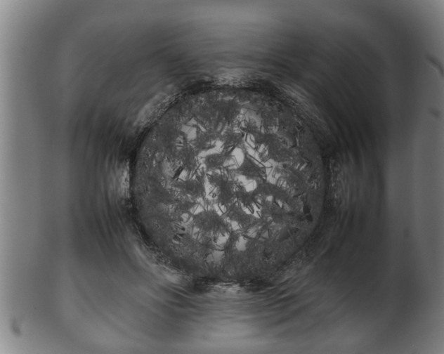 X0000100220502200806061348