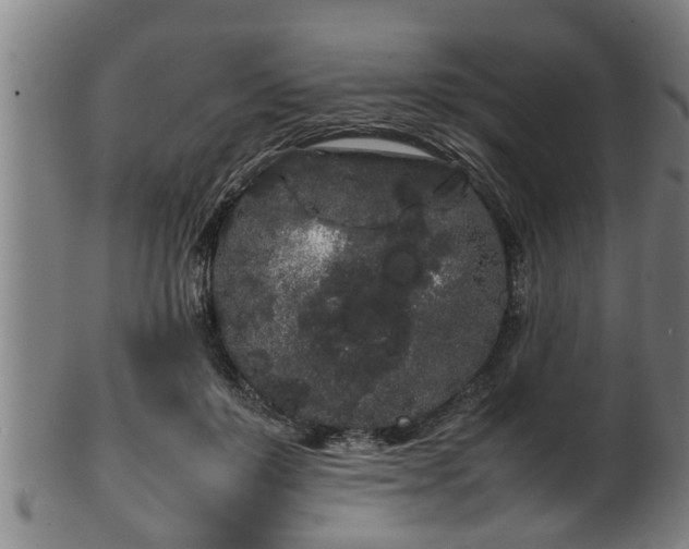 X0000100220503200806061348