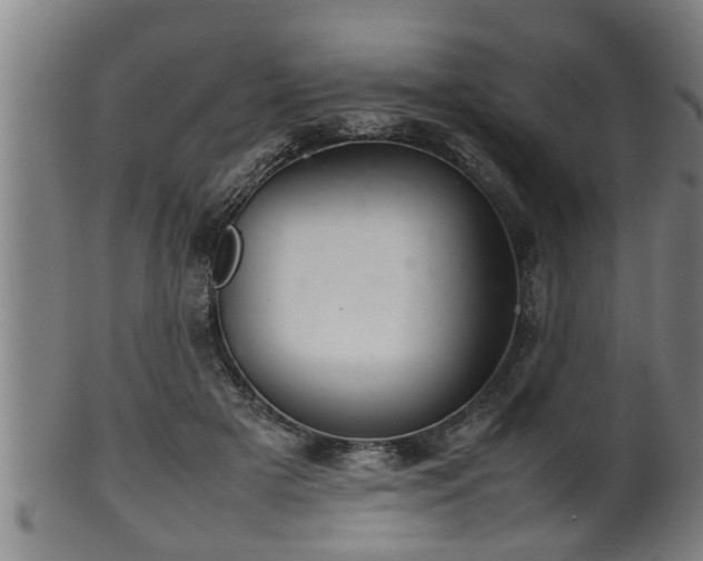 X0000100220505200806061348