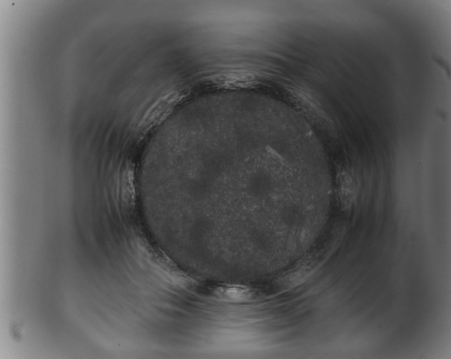X0000100220506200806061348